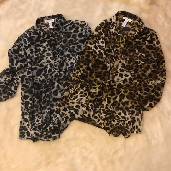 Ambiance Cheetah Print Blouses - Picture 1 of 1